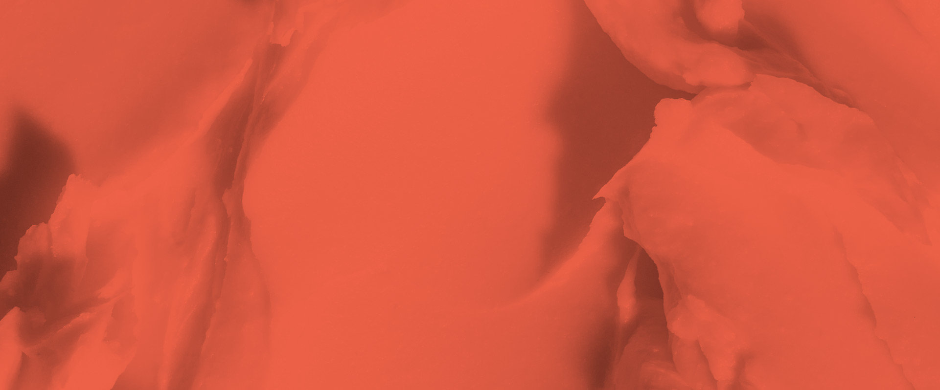 Termék típus Termék típus