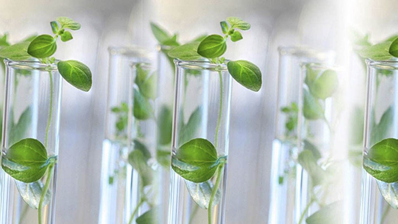 bd516f75c7db68434d02b6a72b046d6f